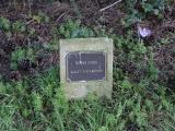image of grave number 931236